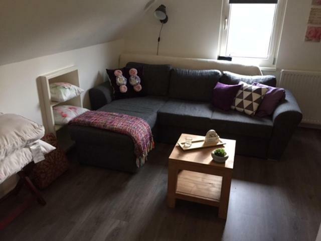 דראכטן B & B Genieten Bij Groen מראה חיצוני תמונה